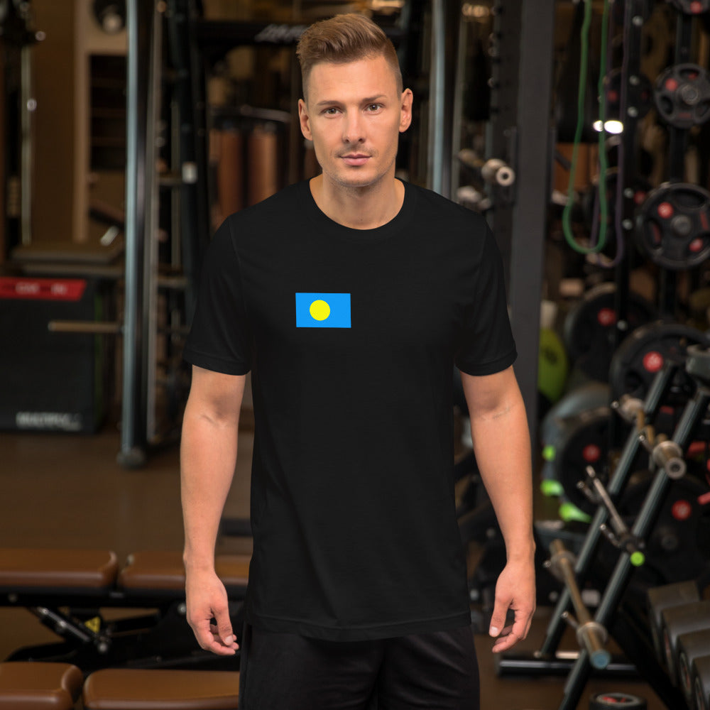 National Flag Shirts - Collection 29 Palau bshirt-m