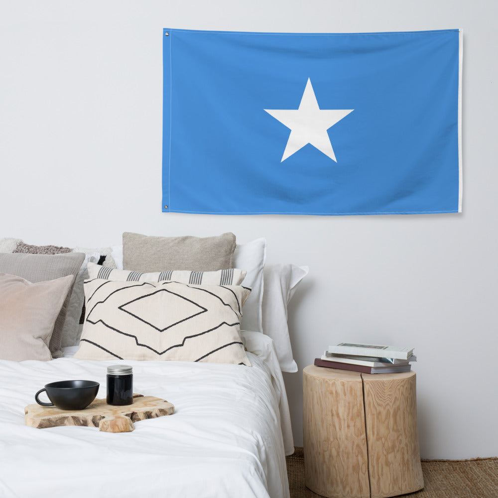 National Flag Wall Flags - Collection 2 Somalia flag