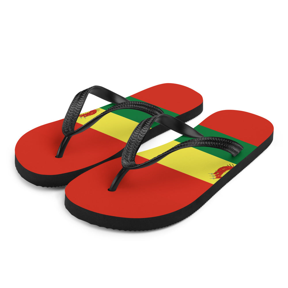 National Flag Flip Flops - Collection 1 Bolivia flip-flops-m