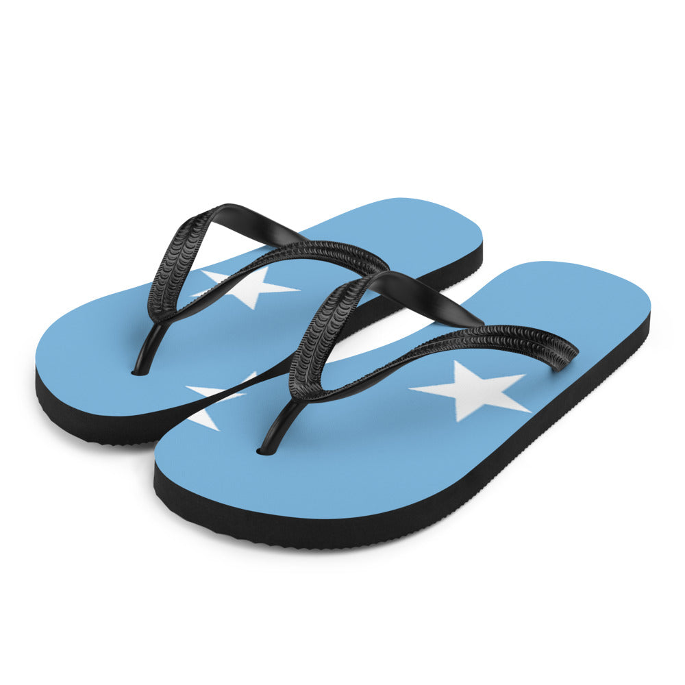 National Flag Flip Flops - Collection 2 Micronesia flip-flops-m