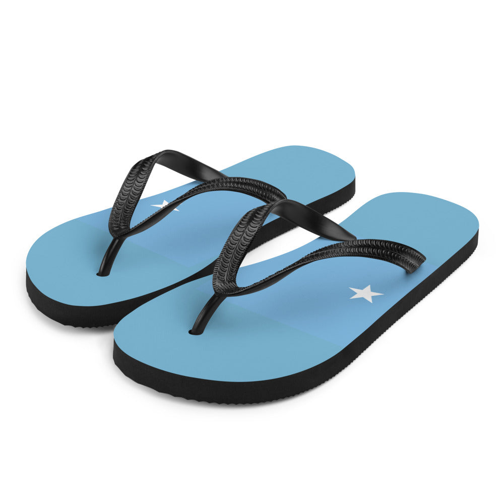 National Flag Flip Flops - Collection 2 Micronesia flip-flops-m