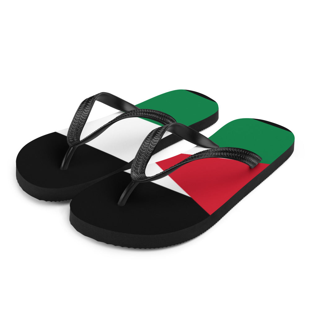 National Flag Flip Flops - Collection 3 Jordan flip-flops-m