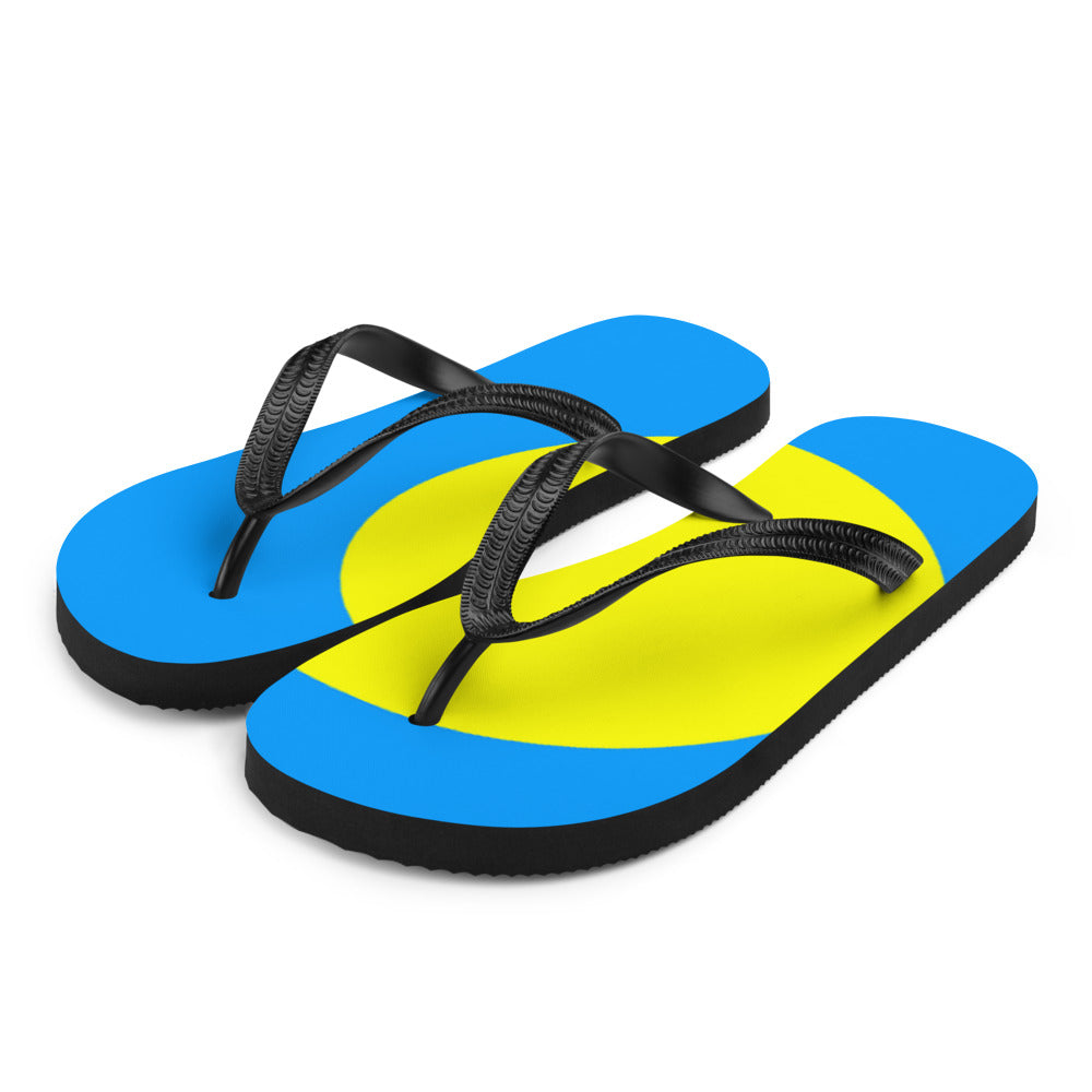 National Flag Flip Flops - Collection 5 Palau flip-flops-m