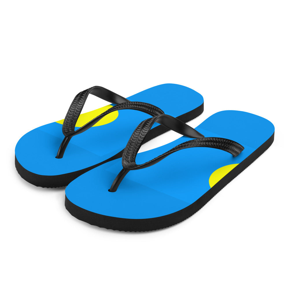 National Flag Flip Flops - Collection 5 Palau flip-flops-m