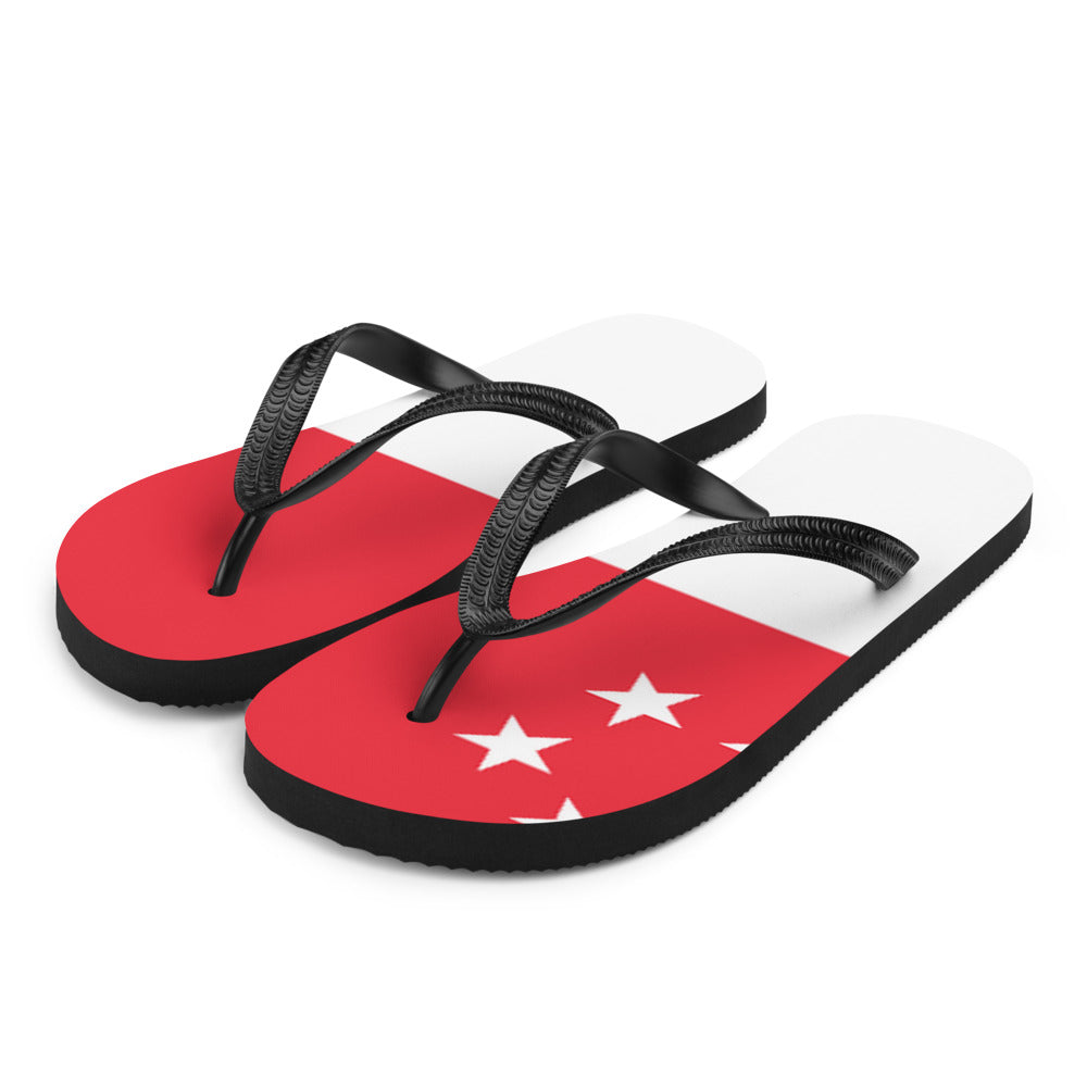 National Flag Flip Flops - Collection 5 Singapore flip-flops-m