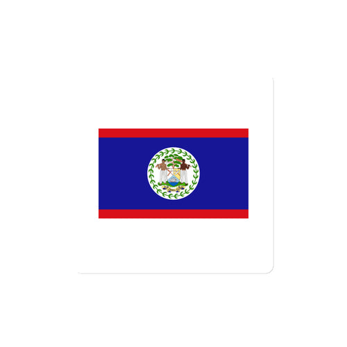 National Flag Magnets - Collection 1 Belize / 4x4 / White
