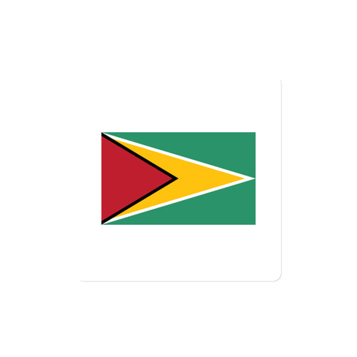 National Flag Magnets - Collection 1 Guyana / 4x4 / White