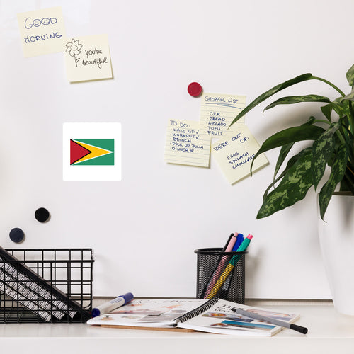 National Flag Magnets - Collection 1 Guyana / 4x4 / White