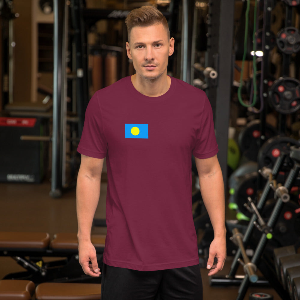 National Flag Shirts - Collection 29 Palau mshirt-m