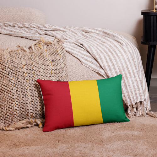 National Flag Pillow Cases - Collection 1 Guinea / 20x12