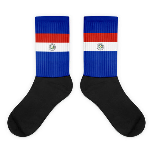 National Flag Socks - Collection 5 Paraguay / M