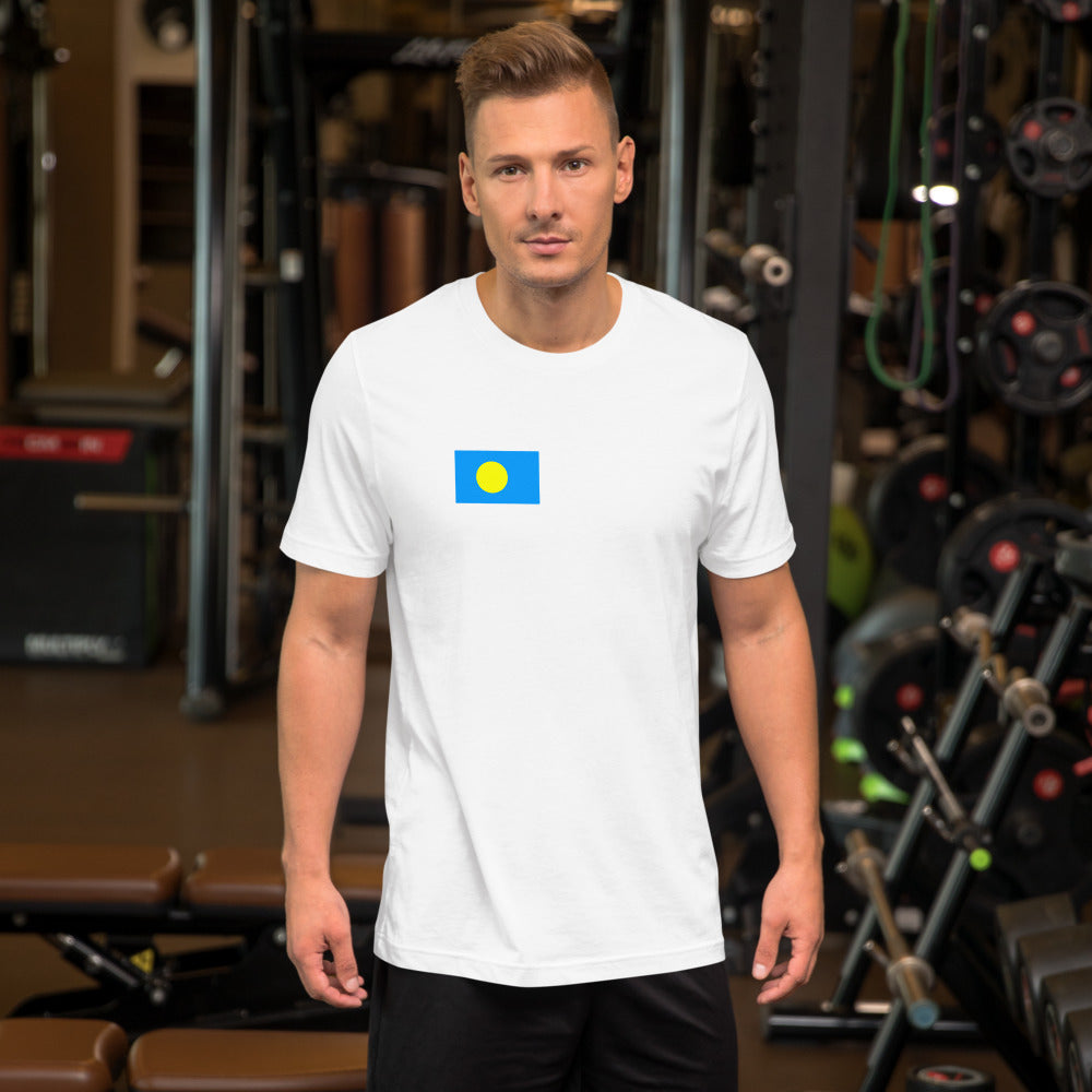 National Flag Shirts - Collection 29 Palau wshirt-m