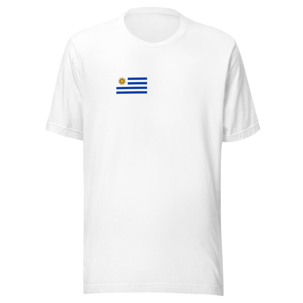 National Flag Shirts - Collection 37 Uruguay wshirt-s